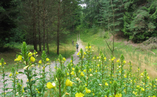 28_Pakalniskiu taku.jpg